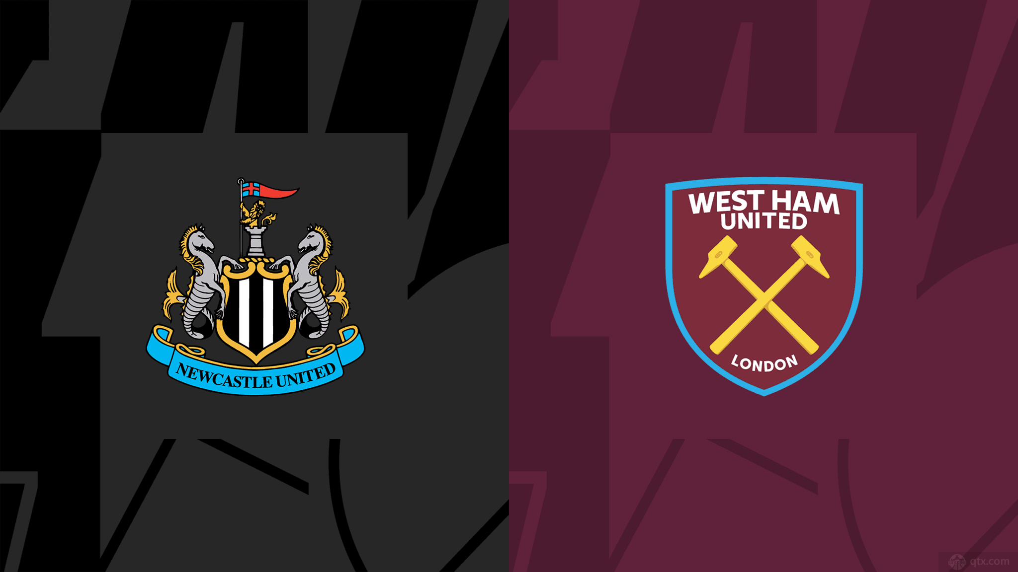 功能饮料 功能饮料